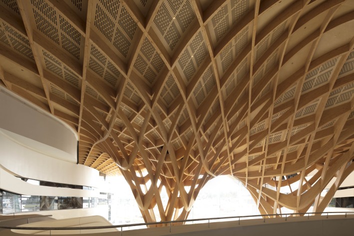 Bunjil Place Gridshell. Photography John Gollings.