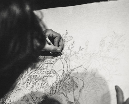 Life Drawing