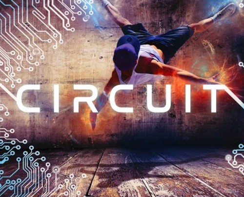 Circuit