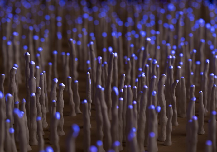 Vera Moller: A Thousand Tides