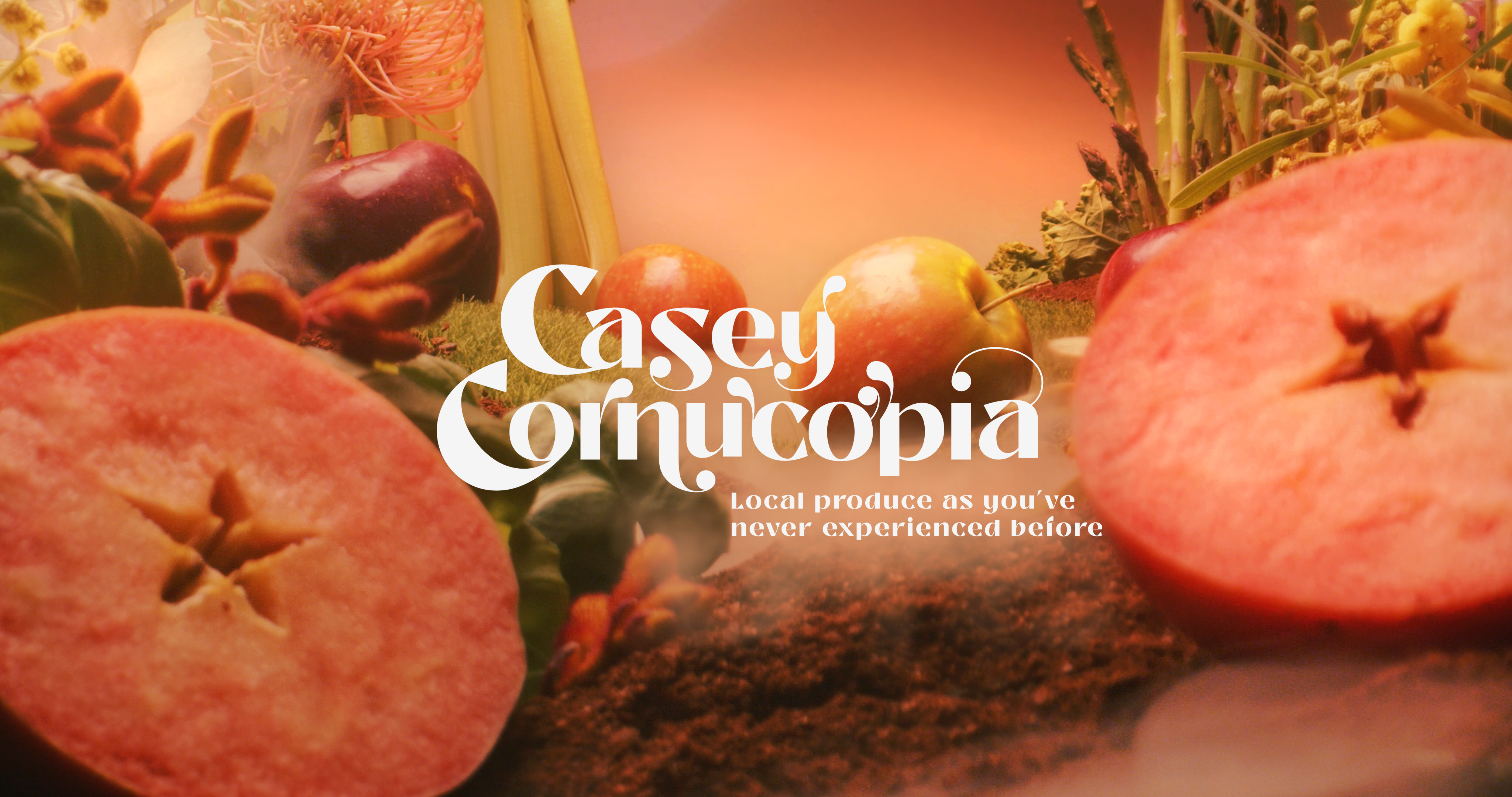 Casey Cornucopia