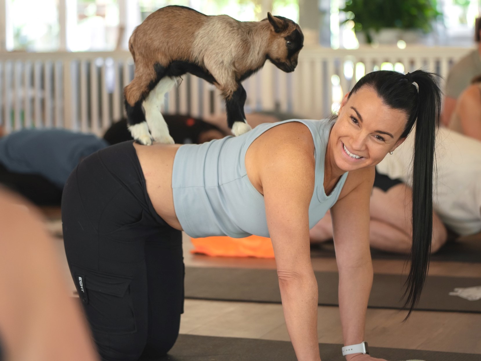 A person in a yoga pose with a baby goat on their back. 