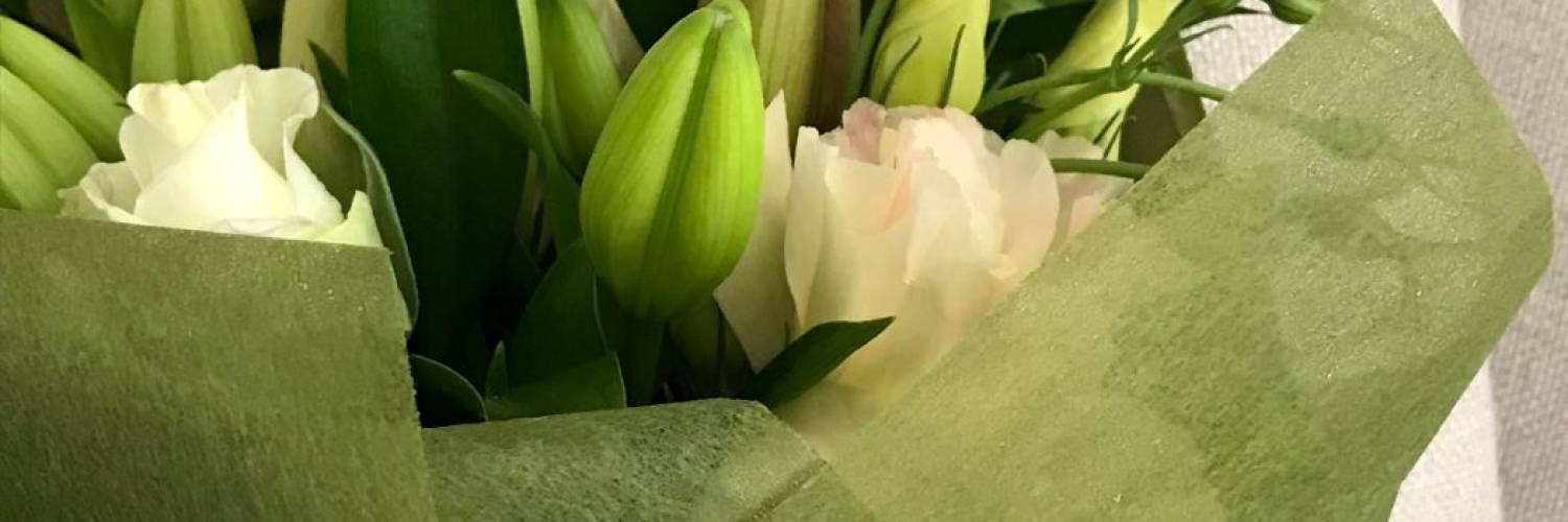 close up of a white flower with green foliage