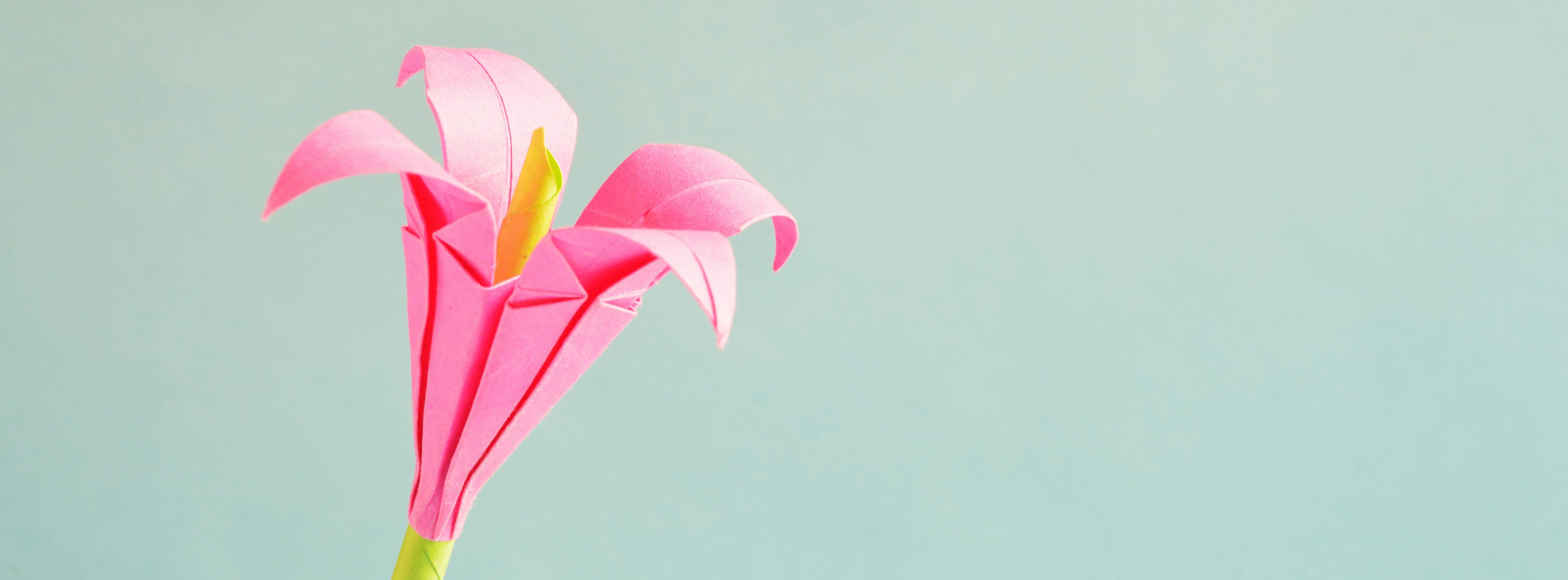 pink origami flower