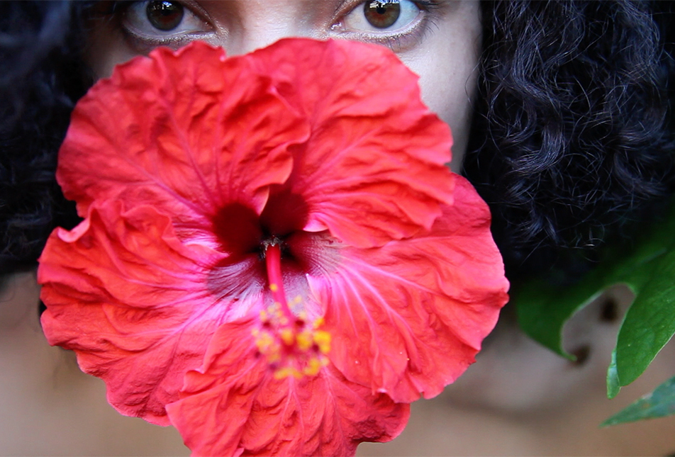 Hibiscus-Tiatia
