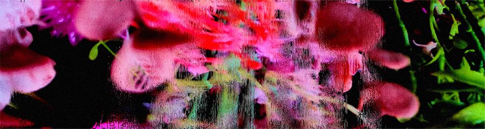 Digital Wall Exhibition: endlessness