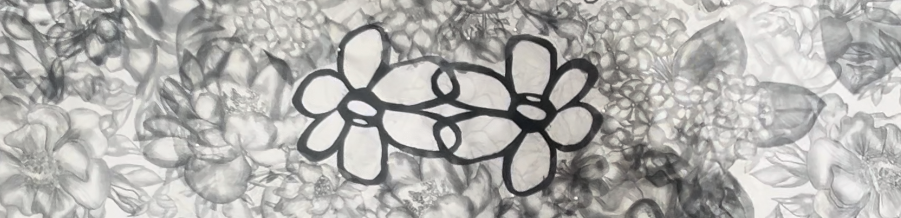 graphite and black pen drawings of flowers 