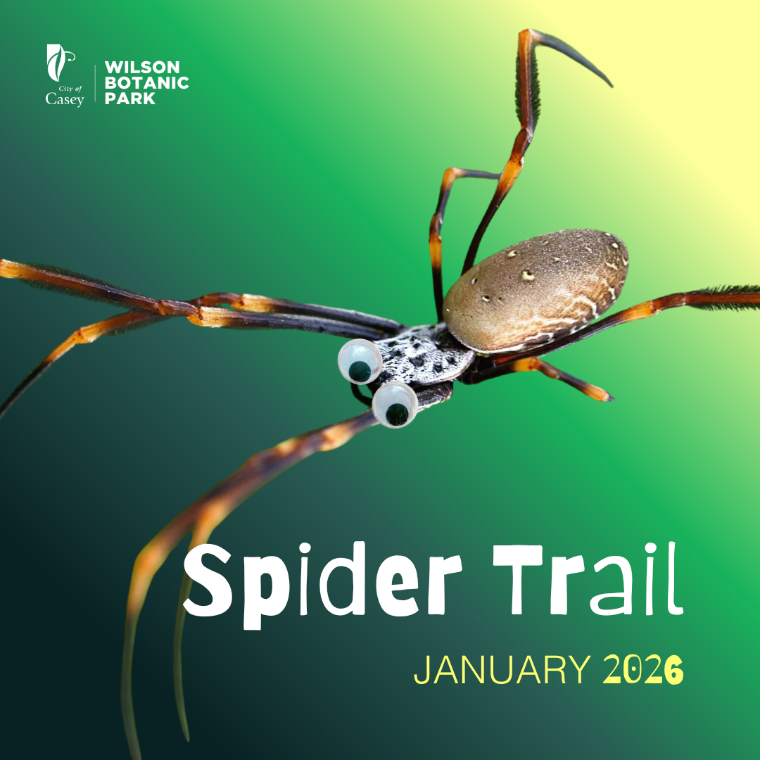 a spider on a green background with text that reads Spider Trail