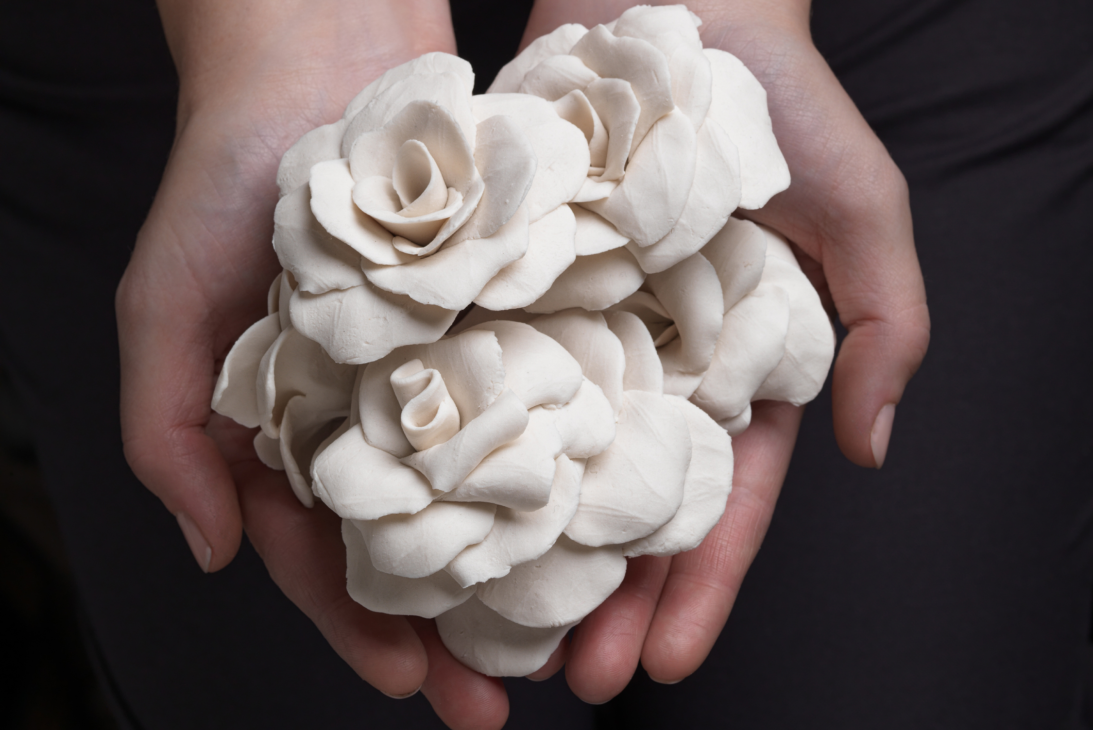 Hands cupped together holding a group of white porcelain flowers by Jess Dare