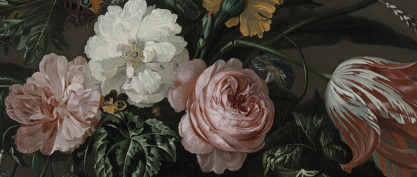 NEW IN THE GALLERY - FLORIBUNDA