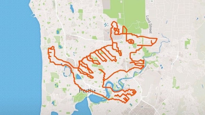 Strava Numbat