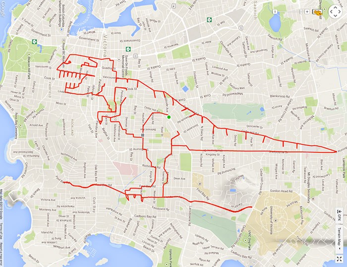 Dinosaur Strava Art 