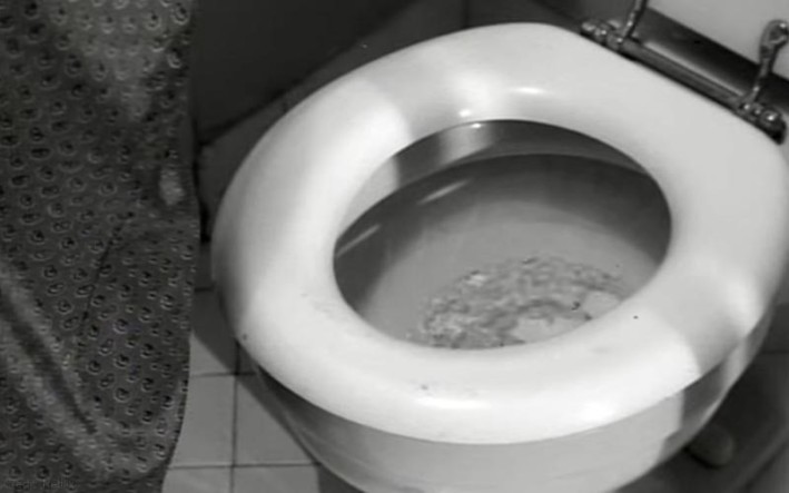 Psycho toilet flush 