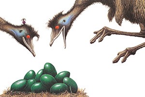 Edward the Emu Thumbnail