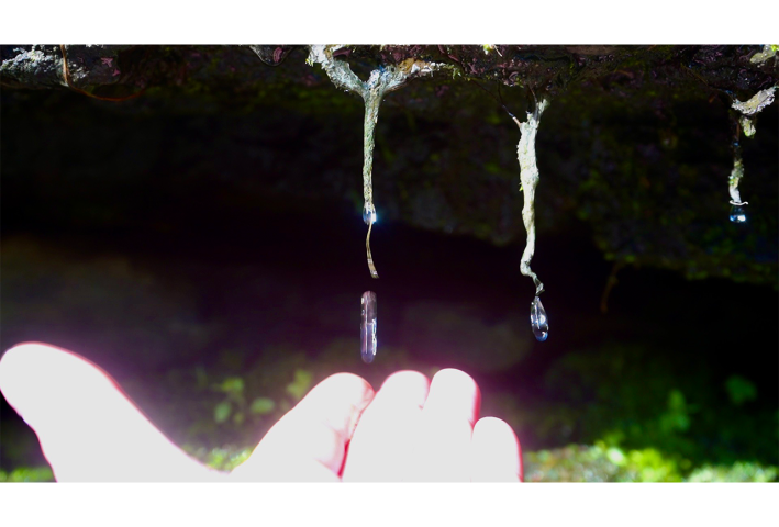 Rebecca Bracewell and Sofie McClure, Fugue, 2022