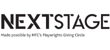 next stage logo