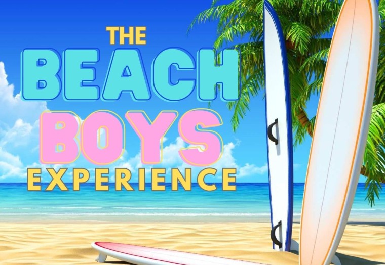 beach boys experience hero image