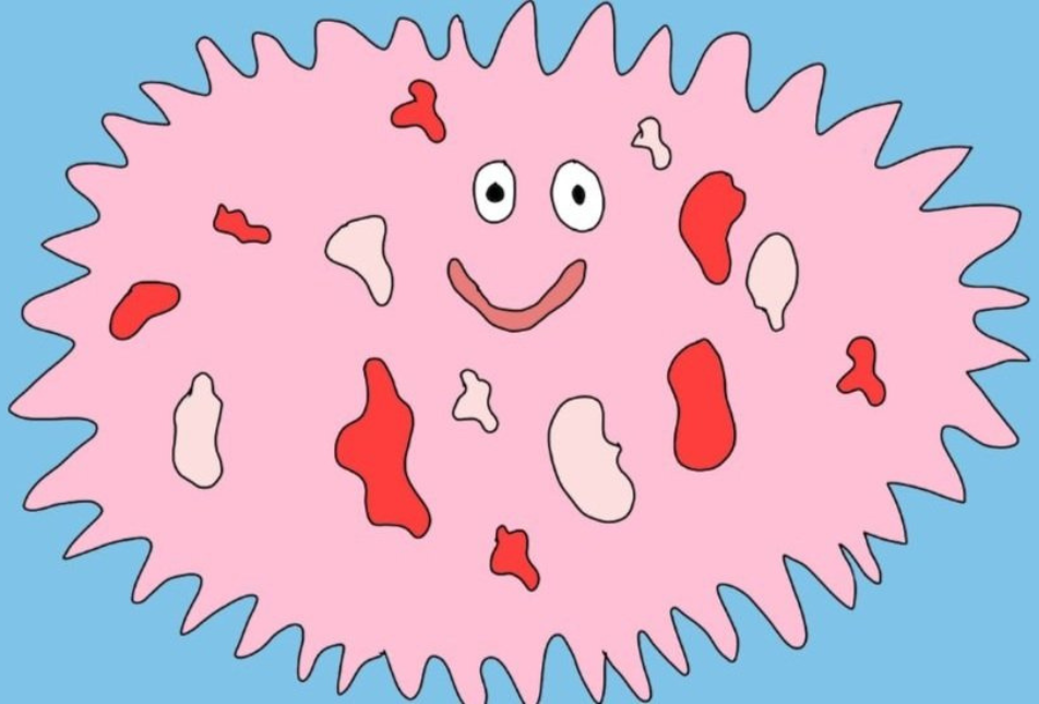 Summer Stage: Deep Sea Creatures After School Workshop 