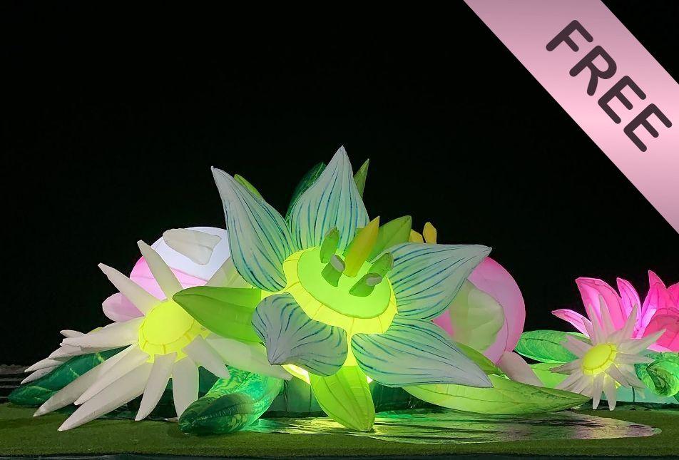 The LOST exhibition features larger than life illuminated sculptures.