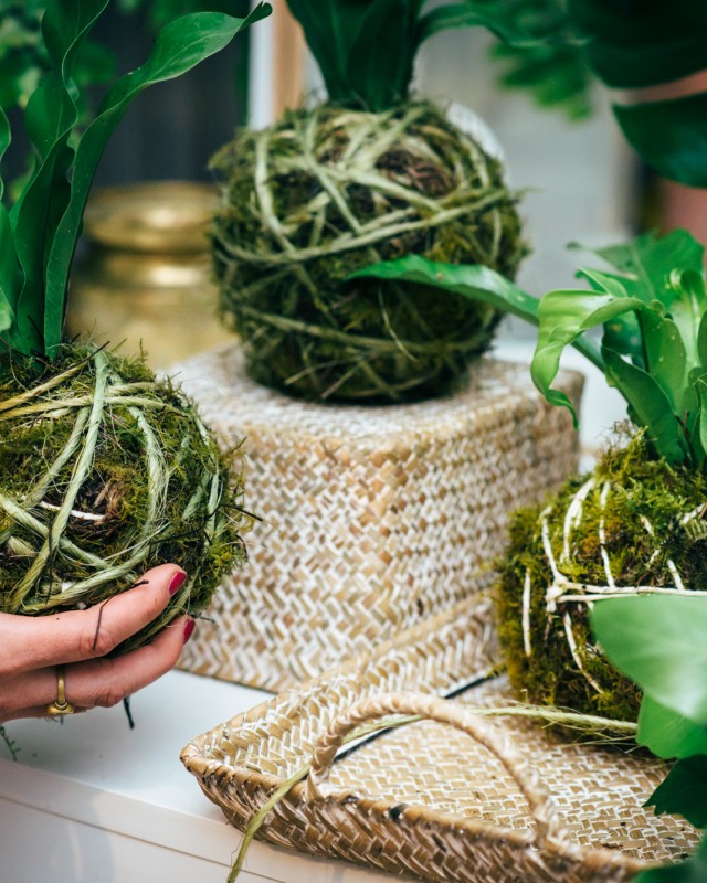 Kokedama