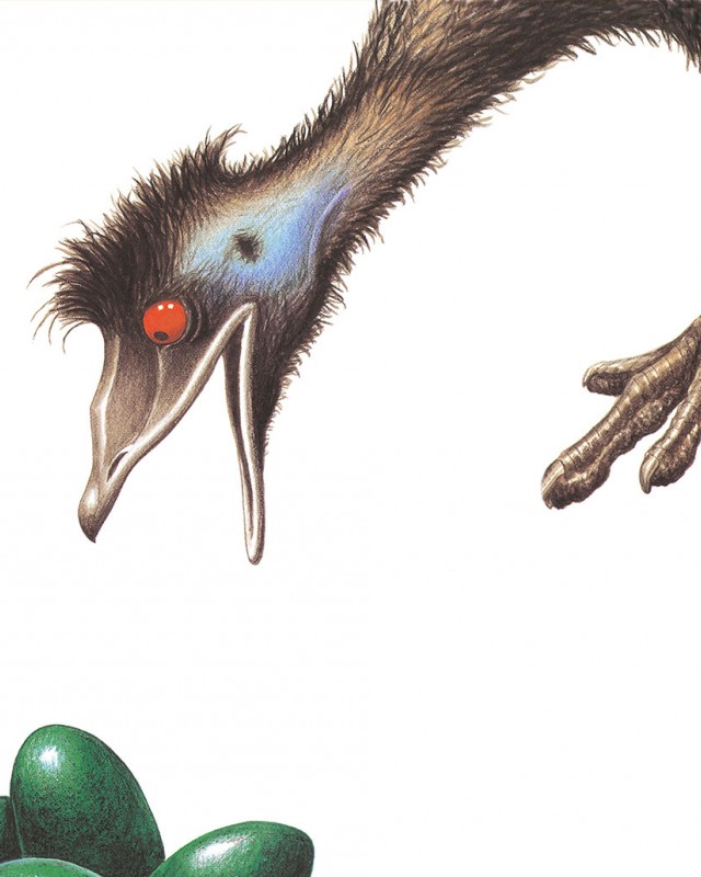 Edward the Emu