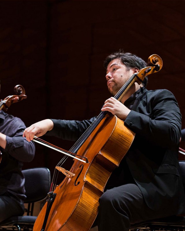 Encounter the Orchestra
