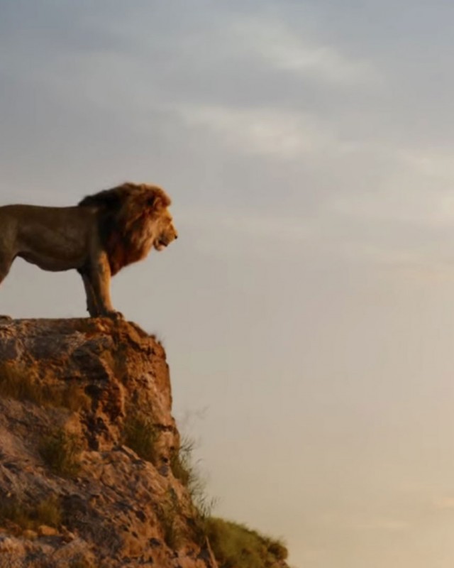The Lion King