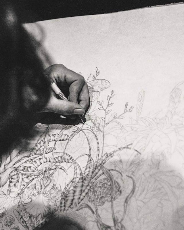 Life Drawing
