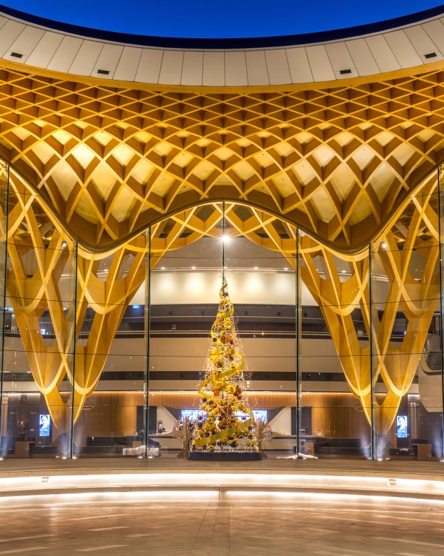Lighting of the Christmas Tree at Bunjil Place