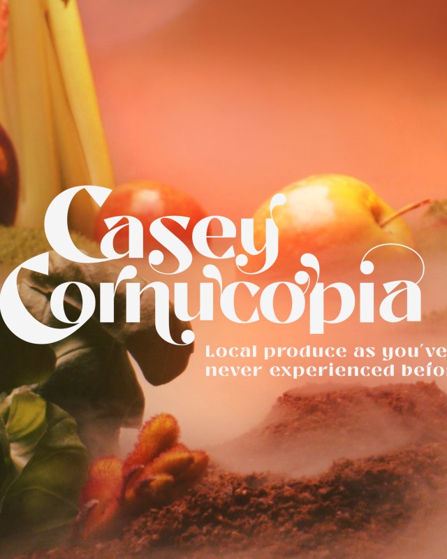 The Cornucopia Tour