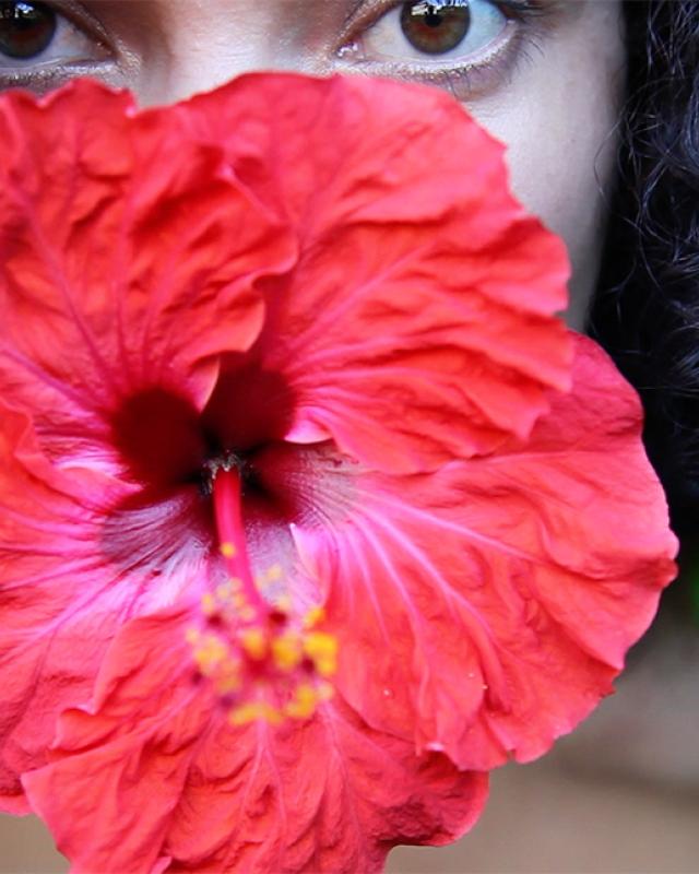 Hibiscus-Tiatia