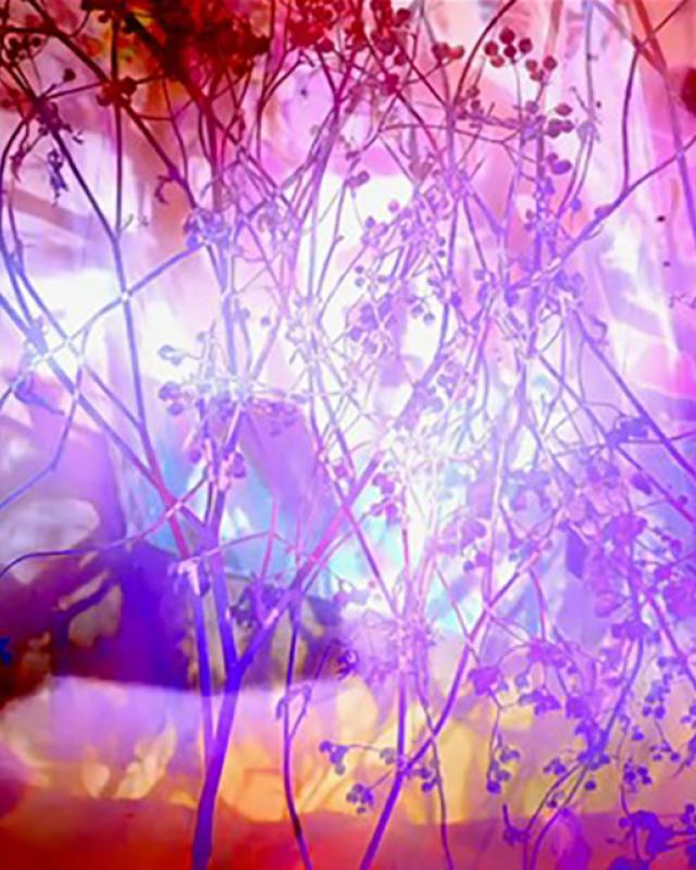 Imagined-02