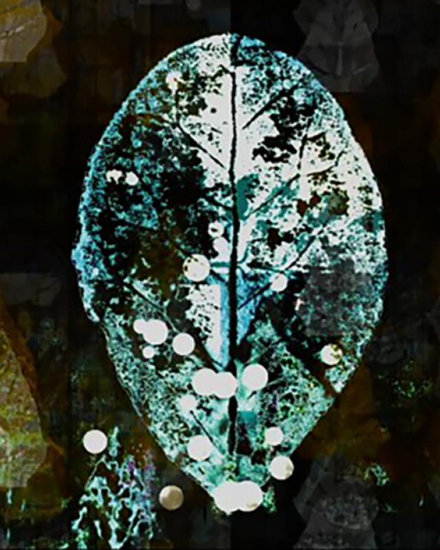 Imagined-03