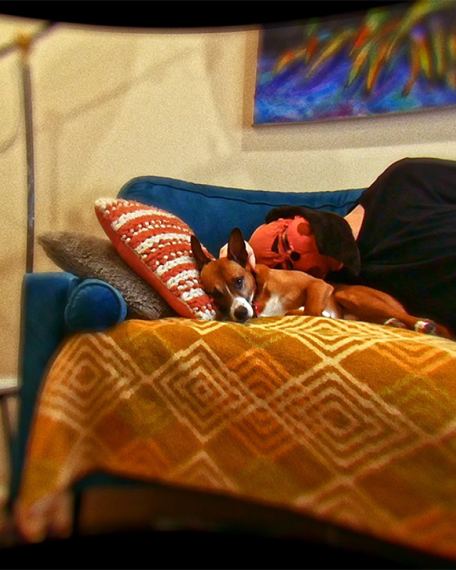 Max Brading, Dog Brained