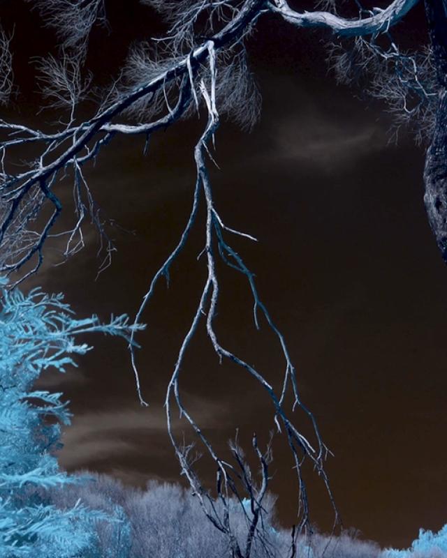 Rebecca Najdowski_Another Nature-Hero