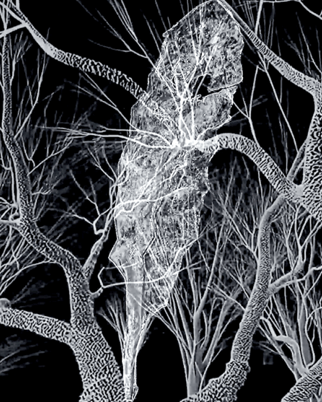 Shirin Shakhesi, Echoes Between