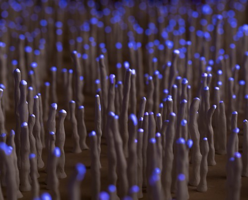 Vera Moller: A Thousand Tides