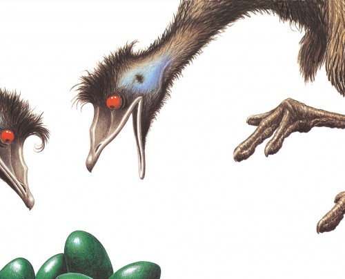 Edward the Emu