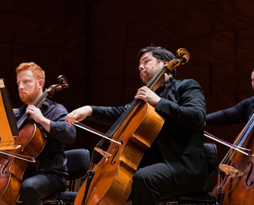 Encounter the Orchestra