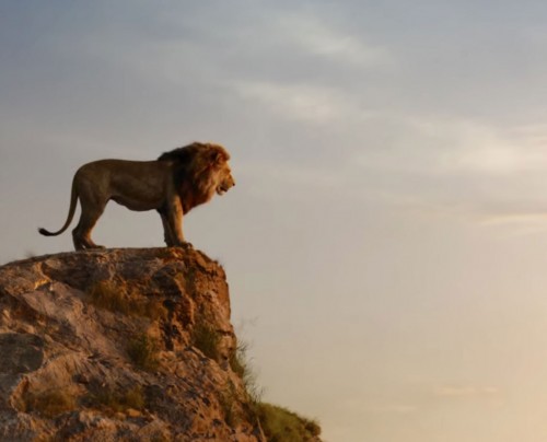 The Lion King