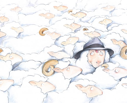 Pete the Sheep