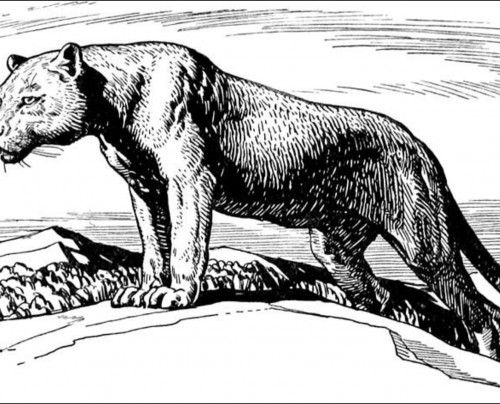 Pakenham Consolidated School presents The Jungle Book