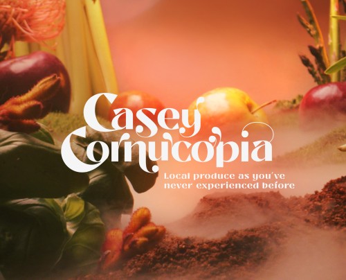 The Cornucopia Tour