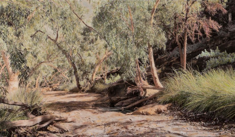 Nici Cumpston, 'Old Mutawintji Gorge I' (detail) 2022, Courtesy of the artist and Michael Reid Gallery