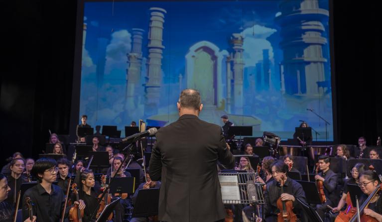 An orchestra in action. 