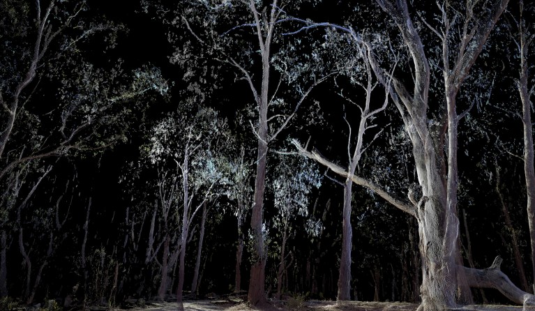 Transient Entanglement, Yandell Walton (2019), still from single channel video