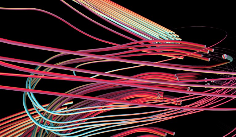 Digital Wall Exhibition: I walk the line