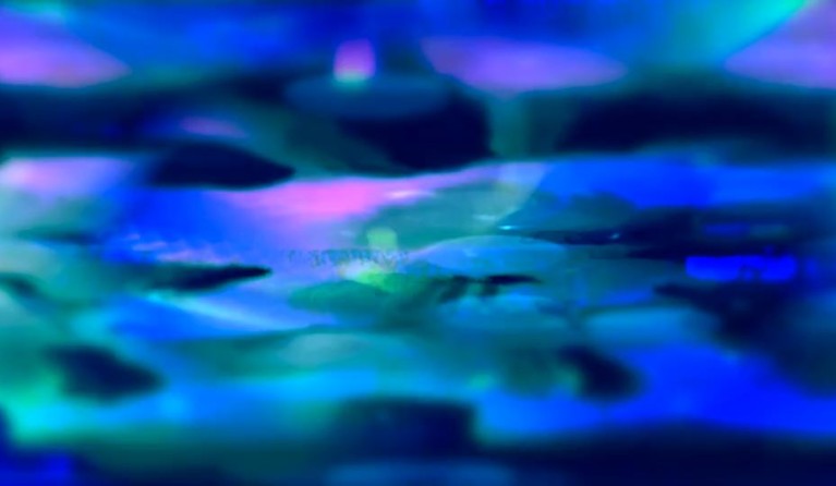 Digital Wall Exhibition: Forest Cities