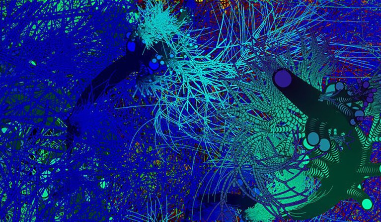DIGITAL WALL EXHIBITION: COENOSARCOID