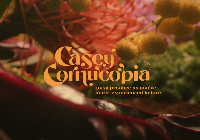 The Cornucopia Food Hub